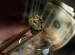 Washington-first-license-for-legal-marijuana-business-whatisusa.info